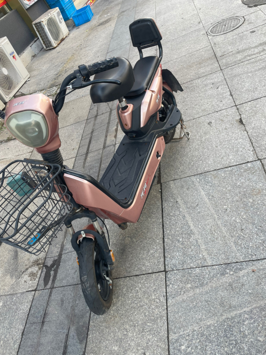 龙玛电动车,刚骑几个月,9成新,700元出!