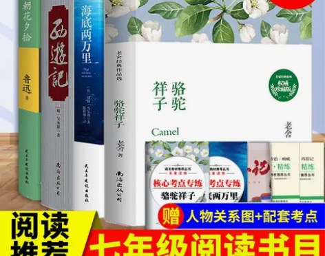 正版西游记精装原著朝花夕拾骆驼祥子海底两万...