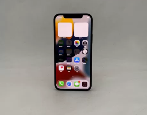 Apple/苹果 iPhone 12 二...