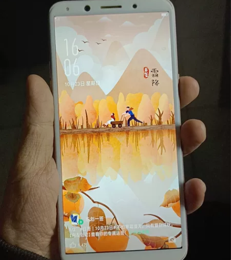 OPPOA73，  4+64G，后盖有氧化...