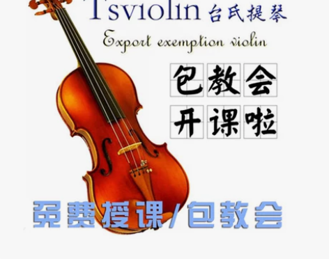 台氏考级小提琴实木初学者手工儿童成人演奏级...
