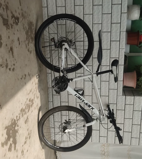 山地自行车，26寸轮毂，黑白色，全车原漆 ...