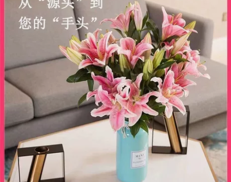 香水百合花云南直发鲜花批发客厅摆放家用水养...