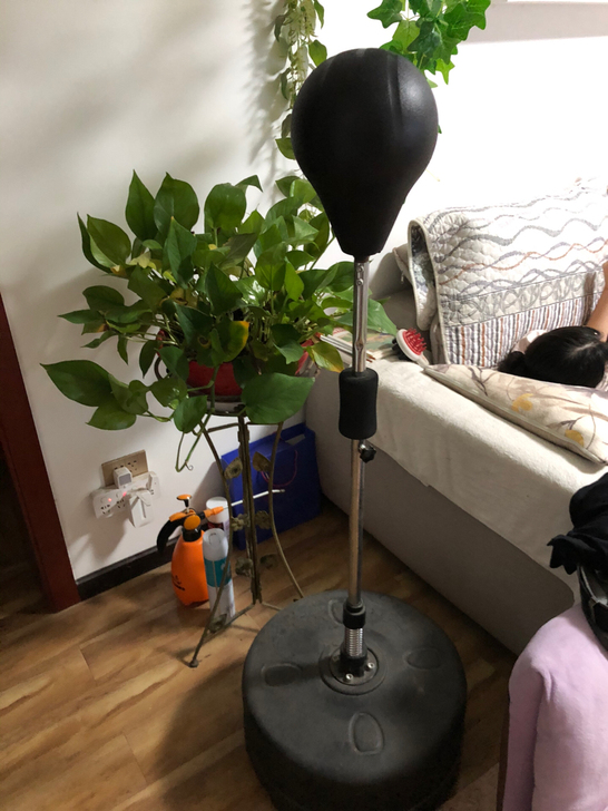 闲置拳击反应球一个出售！由于家里地方太小买...