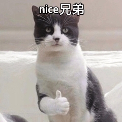 散打   搏击   少林传统拳术