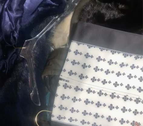 高腰包臀铅笔裙一步裙紧身裙半裙。有弹力,这...