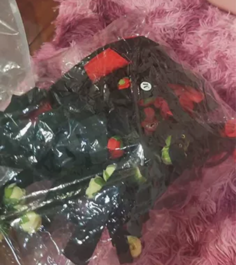 阴阳师雪童子寒梅映雪，m 三分妄想，全新未...