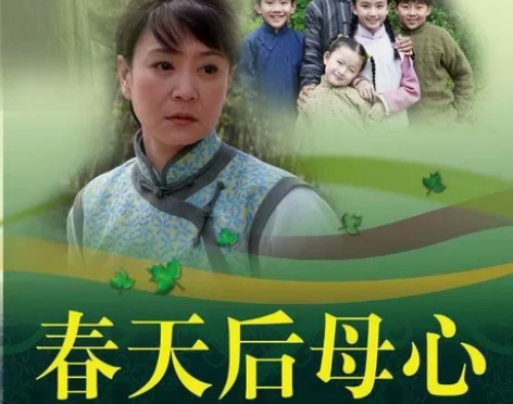 春天后母心DVD碟片33集情感剧光碟2碟装...
