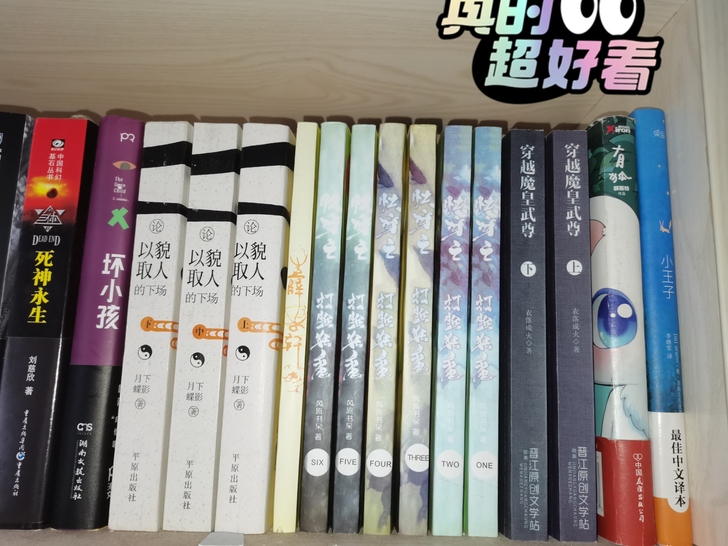 【耽美，悬疑，惊悚，犯罪，东野圭吾，文学】