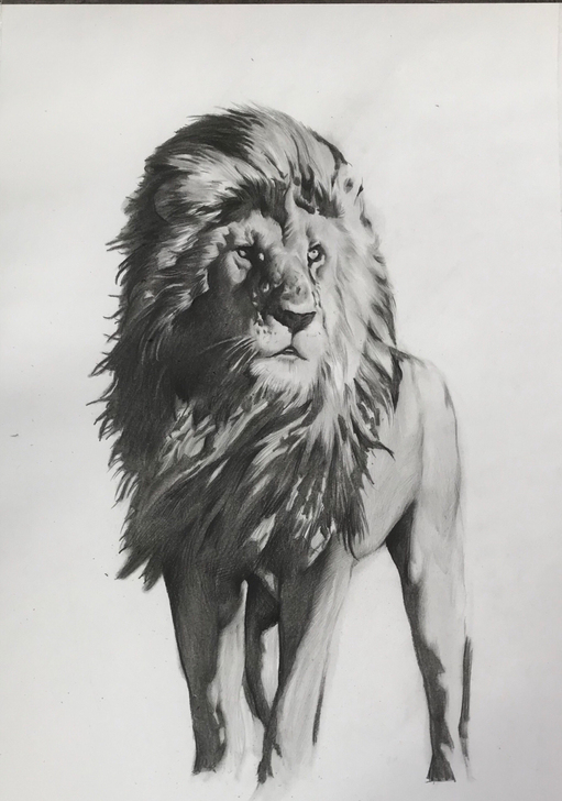 本人可定制接单各类风格题材素描作品,优质优...