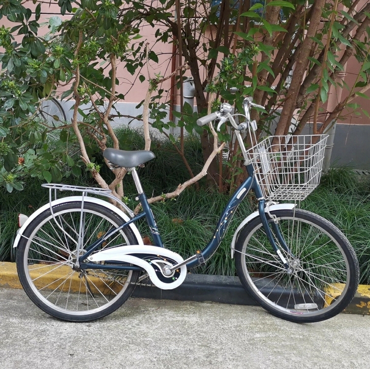 捷安特自行车