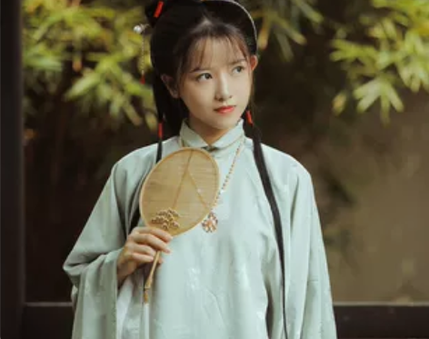 兰若庭 汉服 太平有象 长袄 立领斜襟 明...
