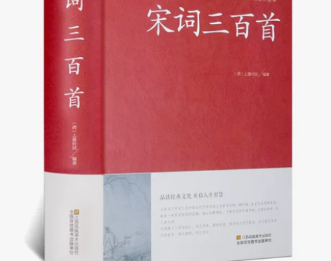 宋词三百赏析三百首小学版正版中华国学藏书书...