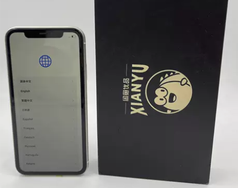Apple/苹果 苹果 iPhone 11...
