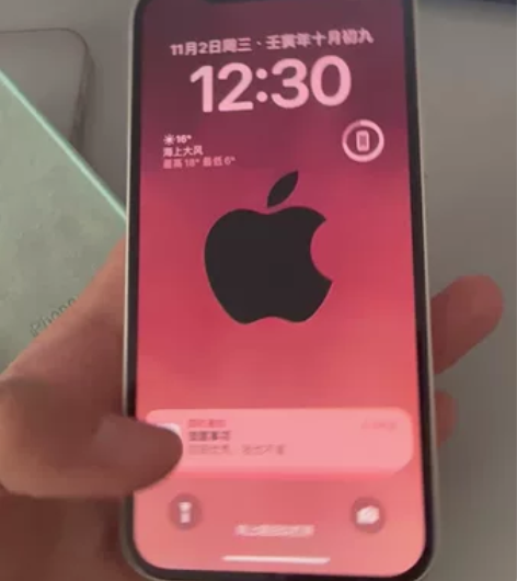 Apple/苹果 iPhone 12 下方...