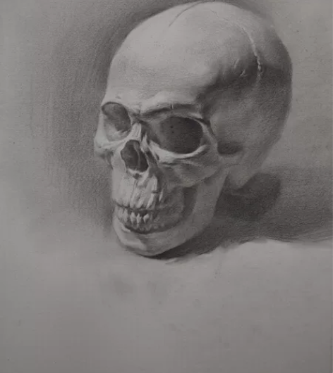 八开素描石膏大关系，平时训练作品，也接代画...