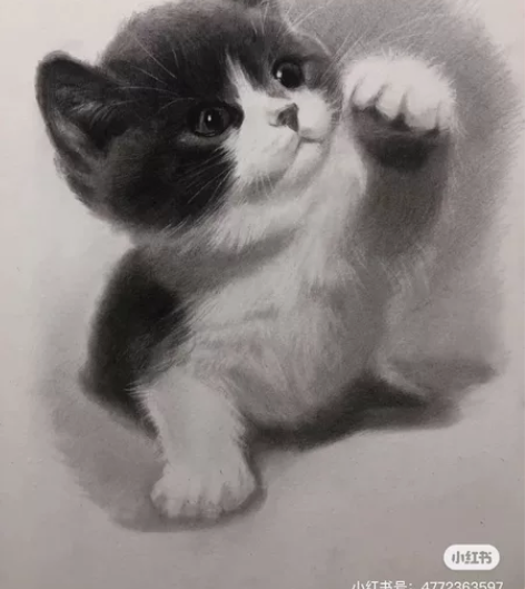 美术作品代画：马克笔画 油画 素描 彩铅 ...