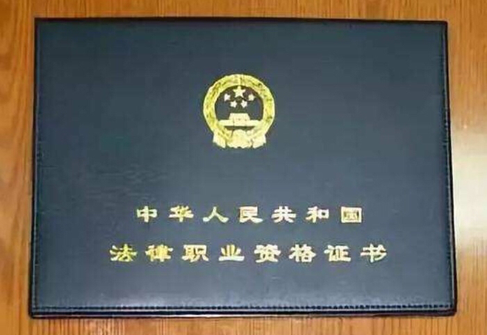 律师提供司法考试法律职业资格考试专项辅导一...