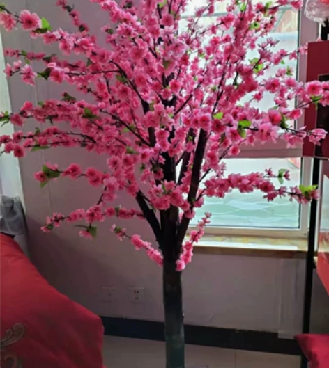 出售桃花  高大约1.6米 谁能看上联系 ...