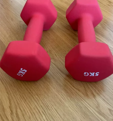 全新5kg哑铃一对 50块 限自提 南京奥...