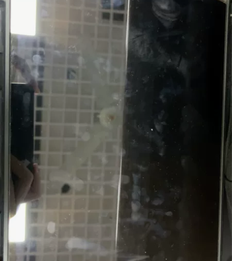 佛系出，不刀 ipad air3 2019...