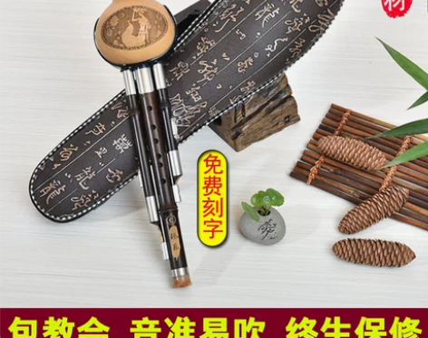 民族葫芦丝乐器初学入门儿童C调降B调防摔耐...