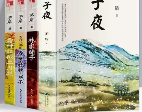茅盾文学奖作品全套4册 茅盾全集小说子夜林...