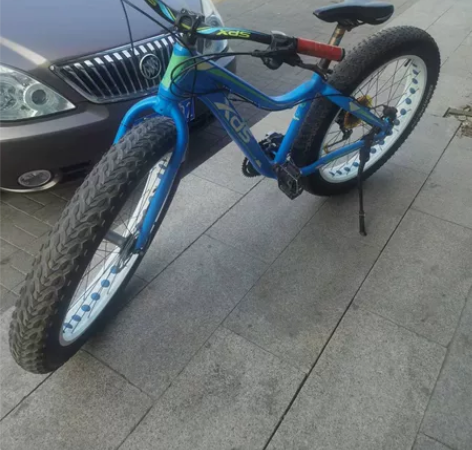 喜德盛宽轮，禧玛诺变速器，油碟刹车，16速...