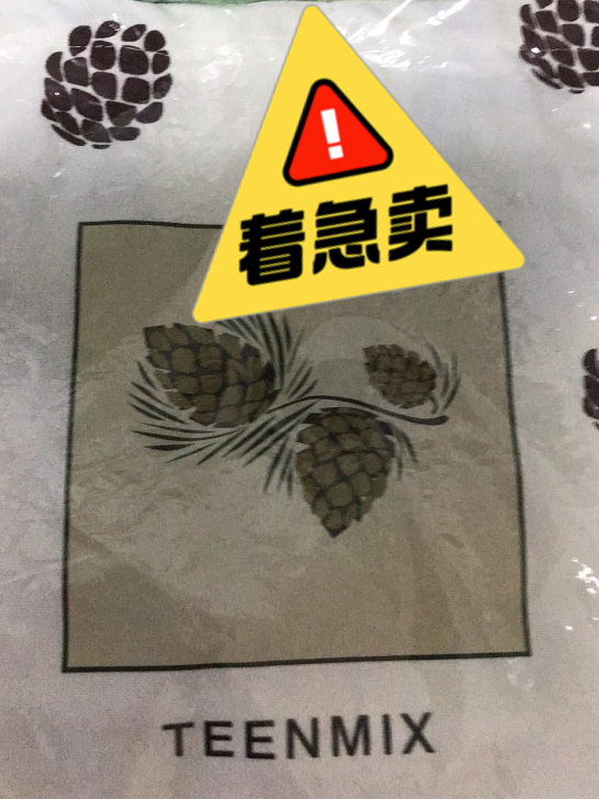 谭松韵天美意帆布包