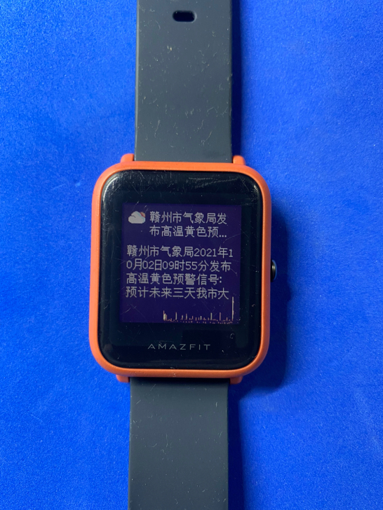 华米AMAZFIT米动手表青春版 型号A1608 无拆无修全