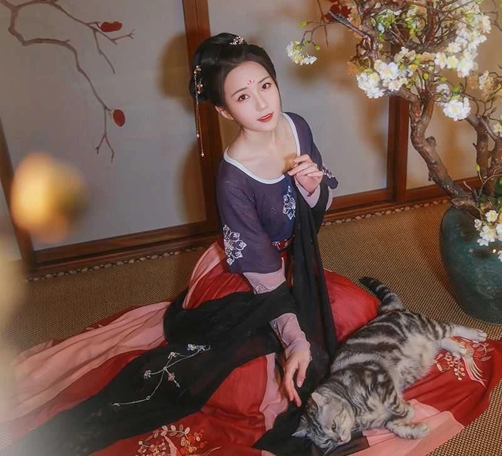 可换可出汉服合集