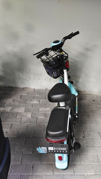 哈啰棒途新国标电动车