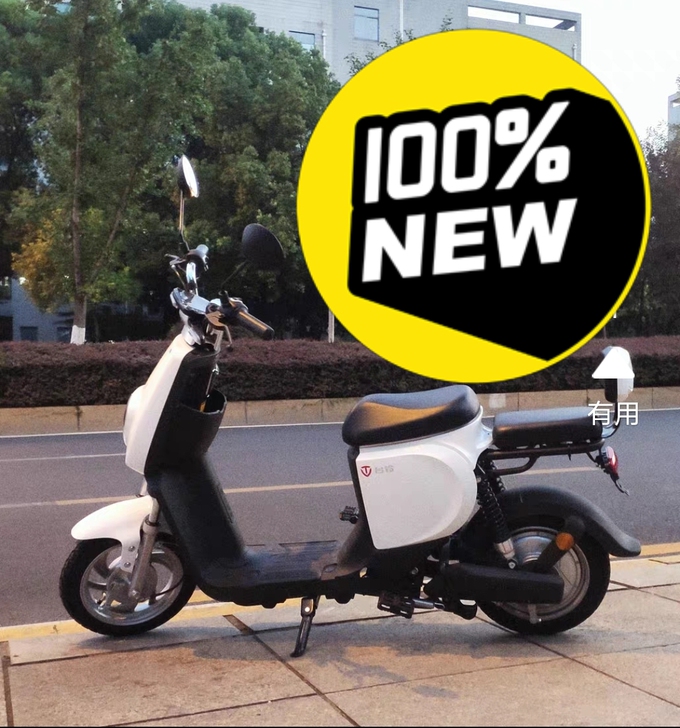 全新台铃电动车TL2，48v锂电池的，买来...