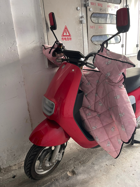 台铃电动车 5月份购买 一直闲置在家没有怎...