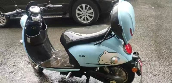 品牌型号 台铃电动车