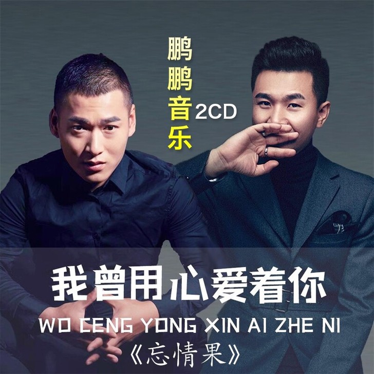 鹏鹏音乐cd 网络热门音乐网红翻唱歌曲忘情...