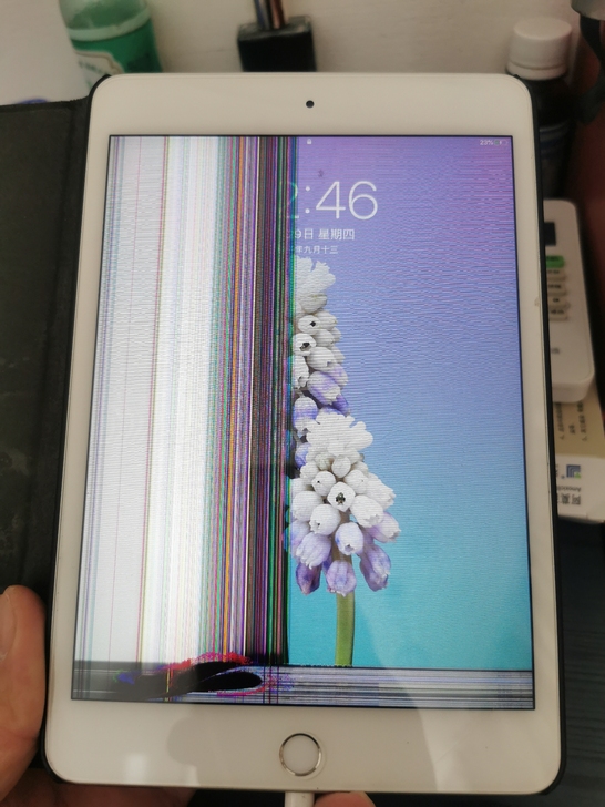 Apple ipad (A2133)，mi...