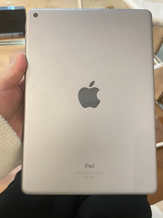 ipad 2018 苹果官网买的32g 9...