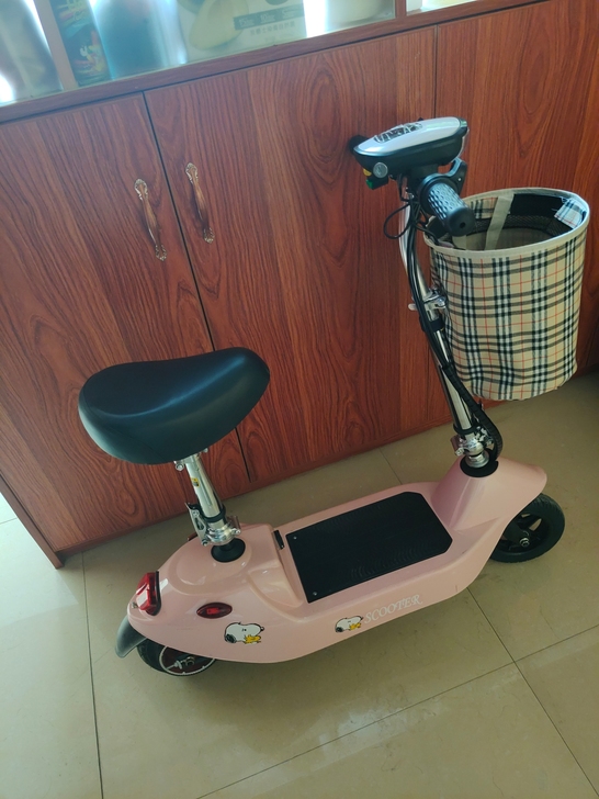 折叠滑板电动车