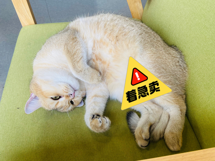 包图网/千库网/摄图网千图网素材代下