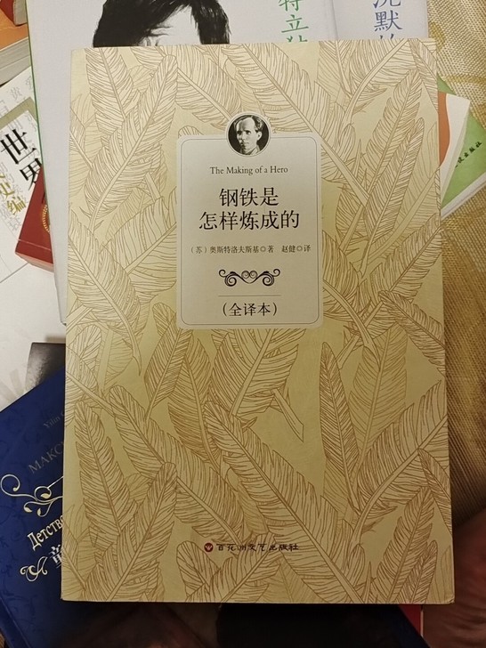 钢铁是怎样炼成的 奥斯特洛夫斯基