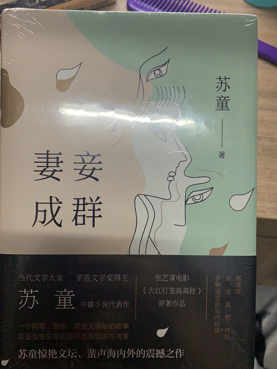 妻妾成群 苏童 新书 未拆封