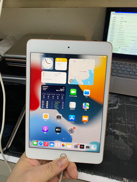 2019款iPad mini5 256g ...