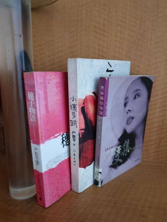 严歌苓小说文集小姨多鹤穗子物语无出路咖啡馆...