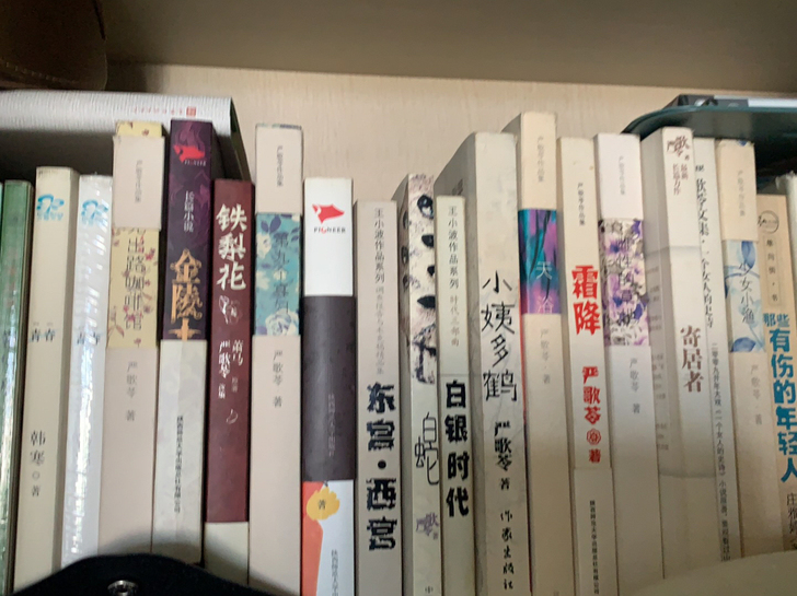 个人出严歌苓作品集,全新每本15元。还有各...