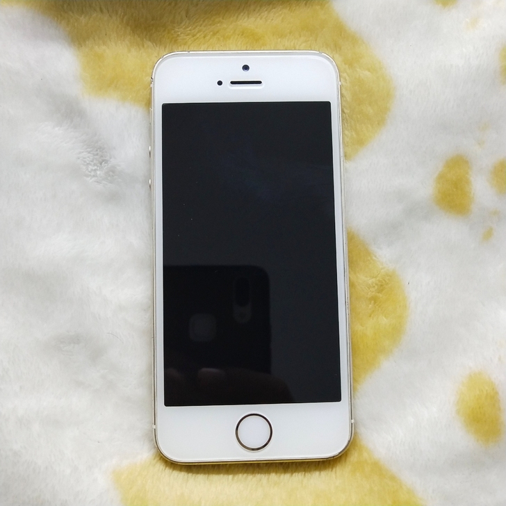苹果5s16g联通3g移动4g