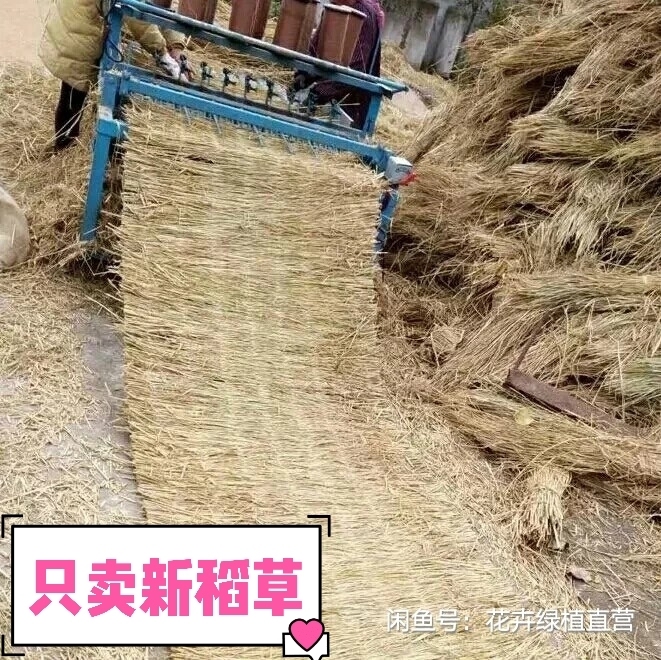 双11.11特惠稻草垫 稻草帘子 保温稻草...