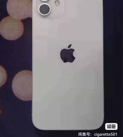 Apple/苹果 iPhone 12 感兴...