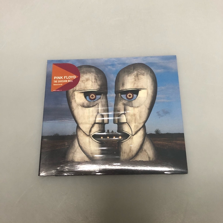 Pink Floyd The Divisi...