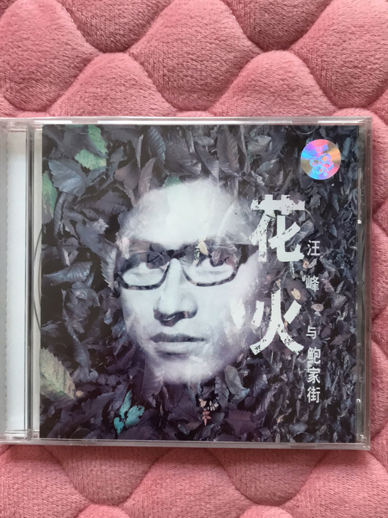 汪峰 与 鲍家街